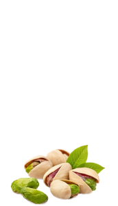 پیشنهاد شگفت انگیز اجیل سبز