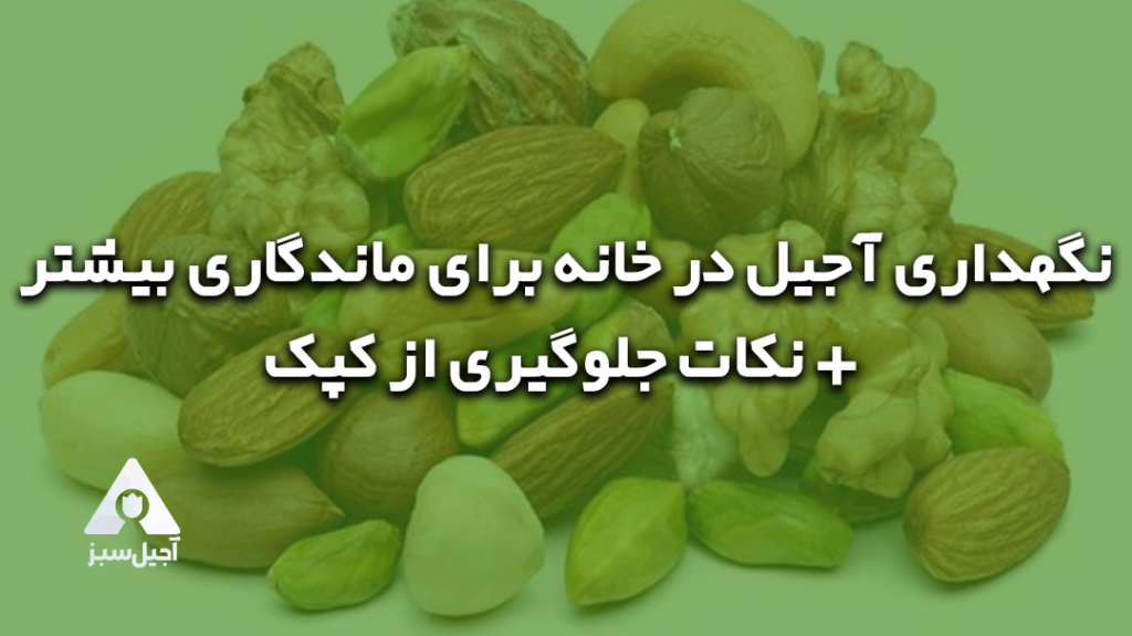 طریقه نگهداری آجیل در خانه برای ماندگاری بیشتر + نکات جلوگیری از کپک